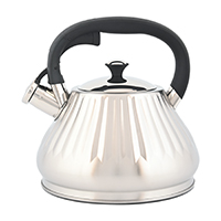 Чайник 2.8л со свистком Linea Tea Regent Inox