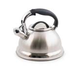 Чайник 2,6л со свистком Linea Tea Regent Inox
