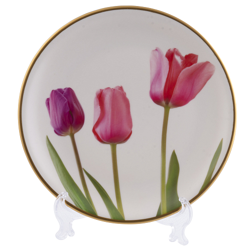 Набор тарелок 25см 6шт Tulip