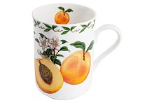 Кружка 0,3л Абрикос Фруктовый сад (в подар.уп) Maxwell & Williams