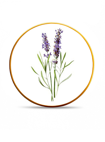 Набор тарелок 25см 6шт Lavender