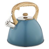 Чайник со свистком 3л