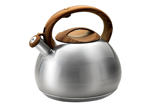 Чайник 4.5л Lara