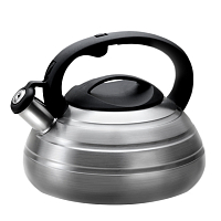 Чайник 3л Soft-touch Lara