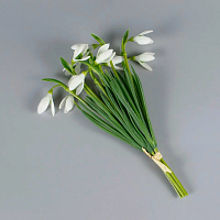 Подснежники 5шт