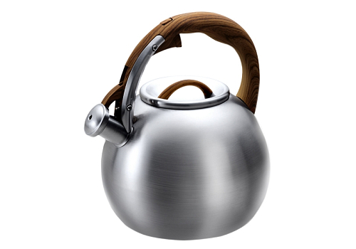 Чайник 4,5л Lara 