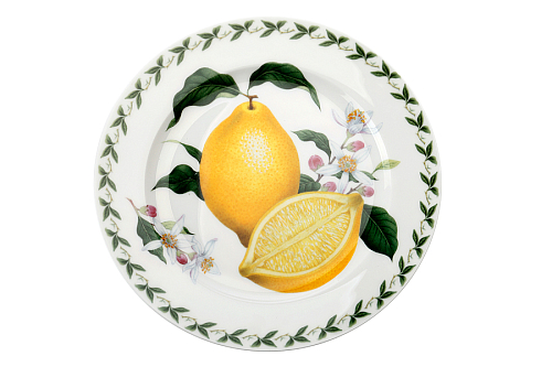 Набор тарелок 20см 6шт Лимон (в подарочн.упаковке)