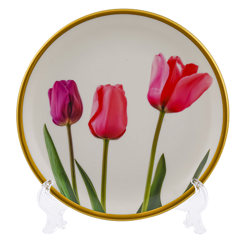 Набор тарелок 21см 6шт Tulip