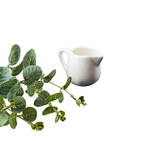 Молочник 9,5*6*7см 130мл Маршмеллоу Nouvelle Home