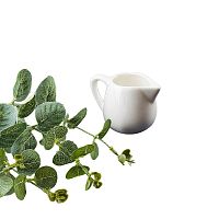 Молочник 9,5*6*7см 130мл Маршмеллоу Nouvelle Home