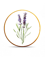 Набор тарелок 25см 6шт Lavender