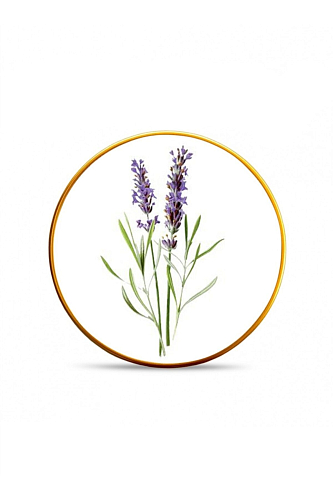 Набор тарелок 21см 6шт Lavender